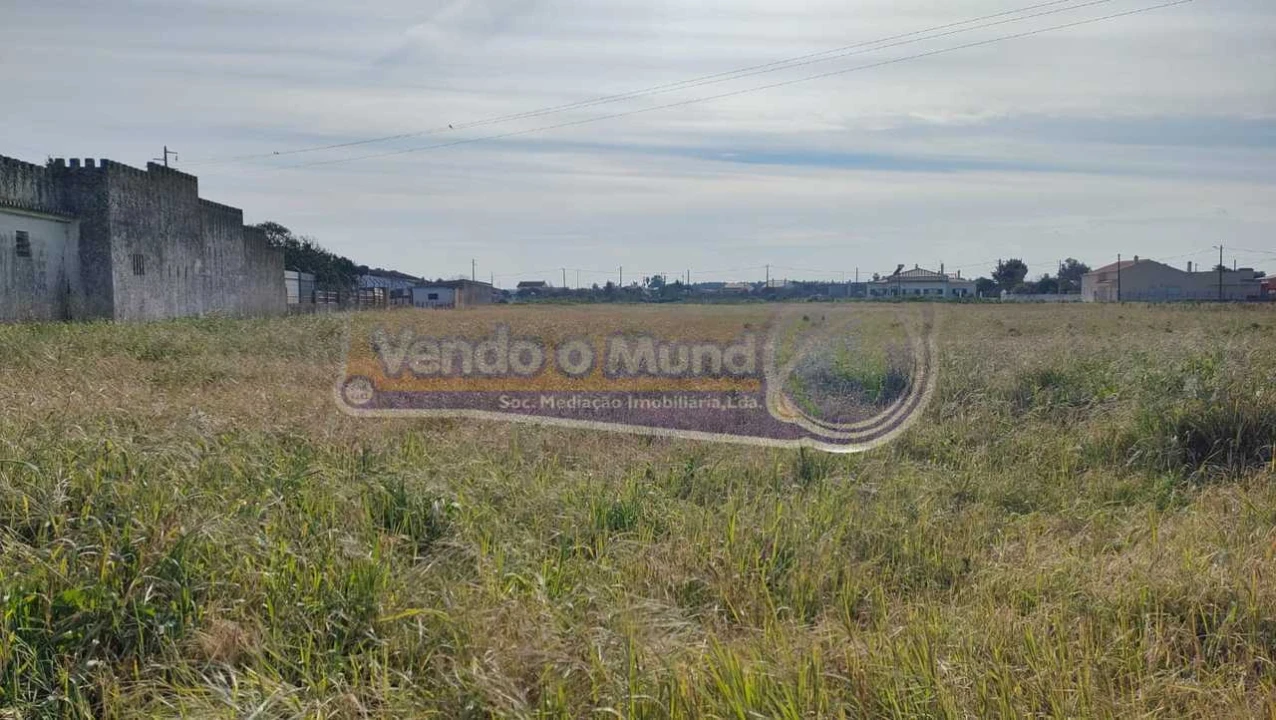 Terreno para Venda em Marinhais Foto 4