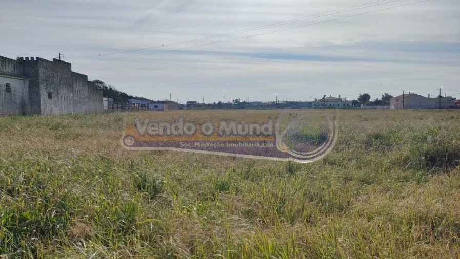 Terreno para Venda em Marinhais Foto 4