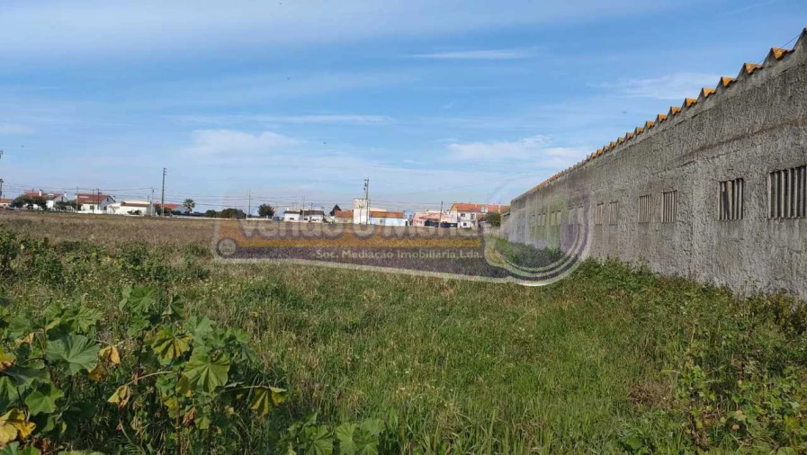 Terreno para Venda em Marinhais Foto 2
