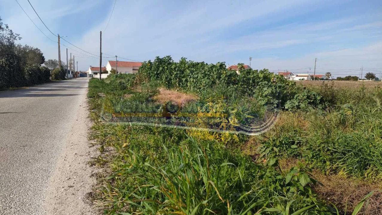 Terreno para Venda em Marinhais Foto 5