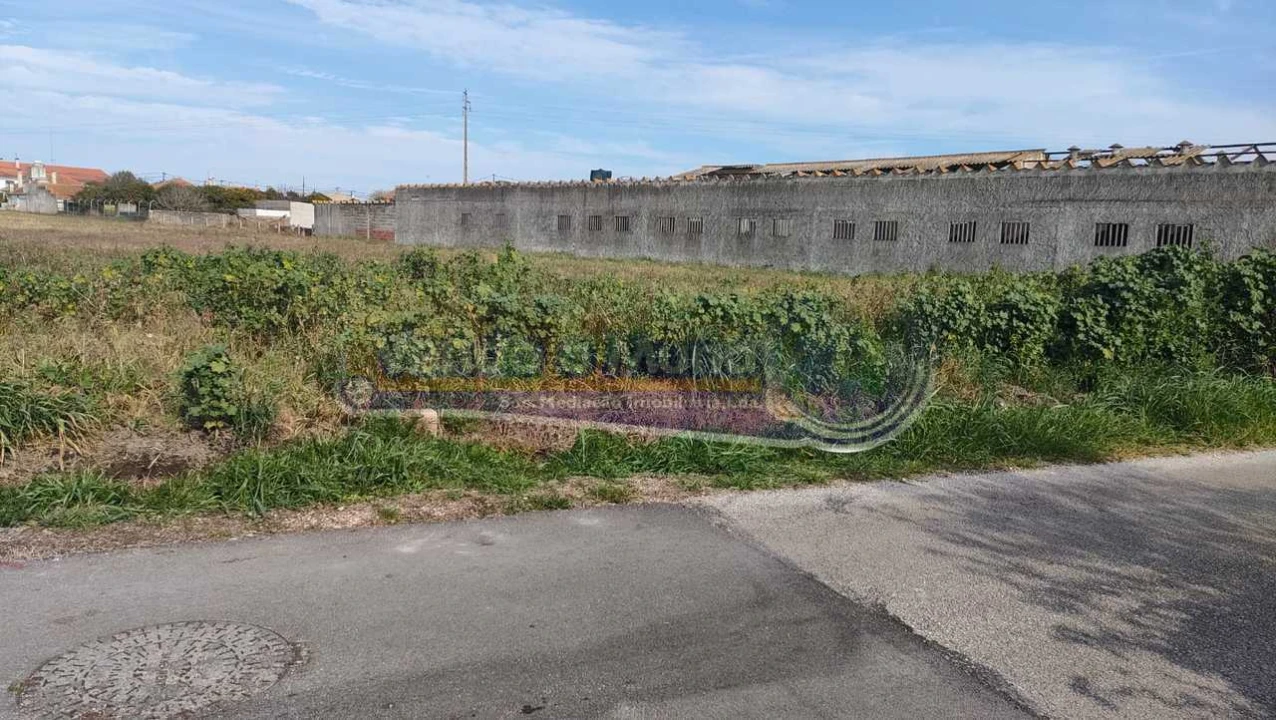 Terreno para Venda em Marinhais Foto 3