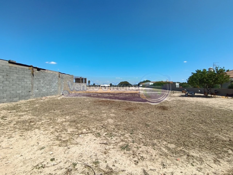 Terreno para Venda em Benavente Foto 8