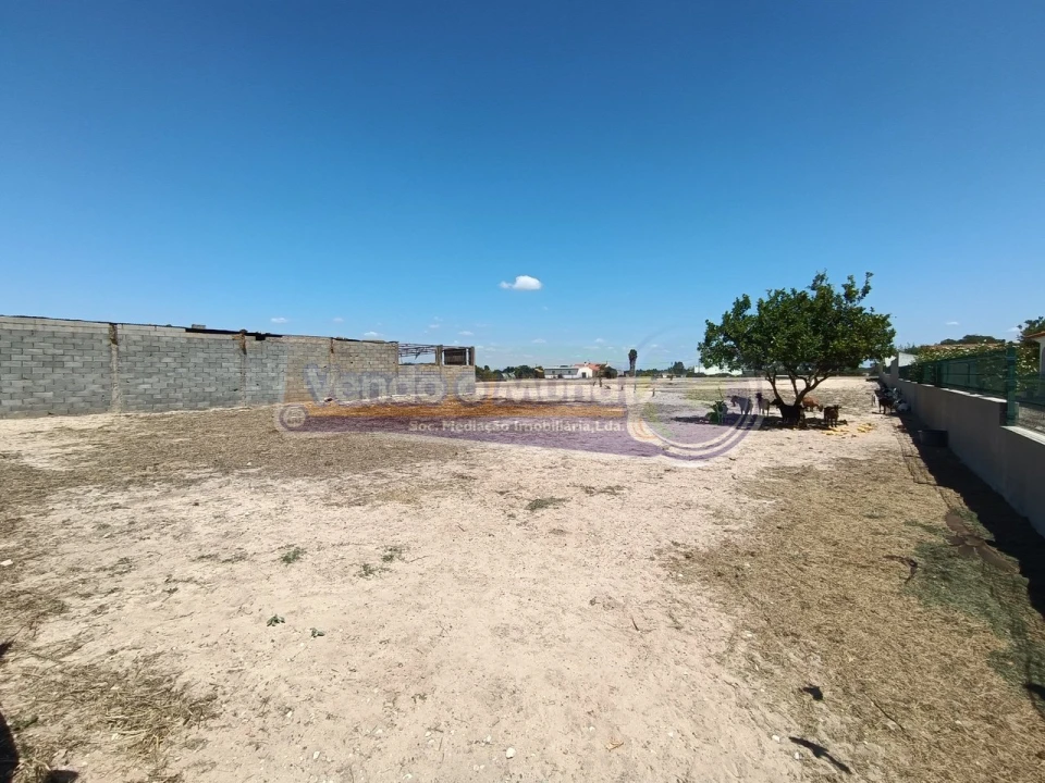 Terreno para Venda em Benavente Foto 9