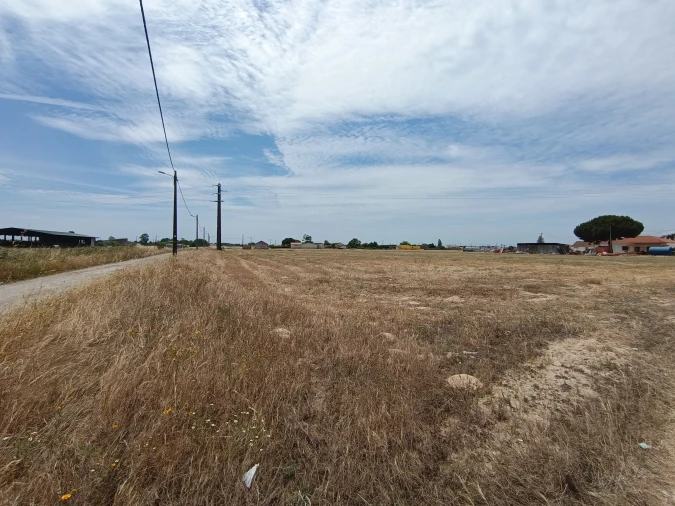 Terreno para Venda em Samora Correia Foto 2