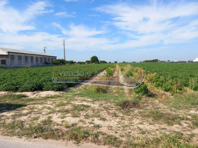 Terreno para Venda em Benfica do Ribatejo