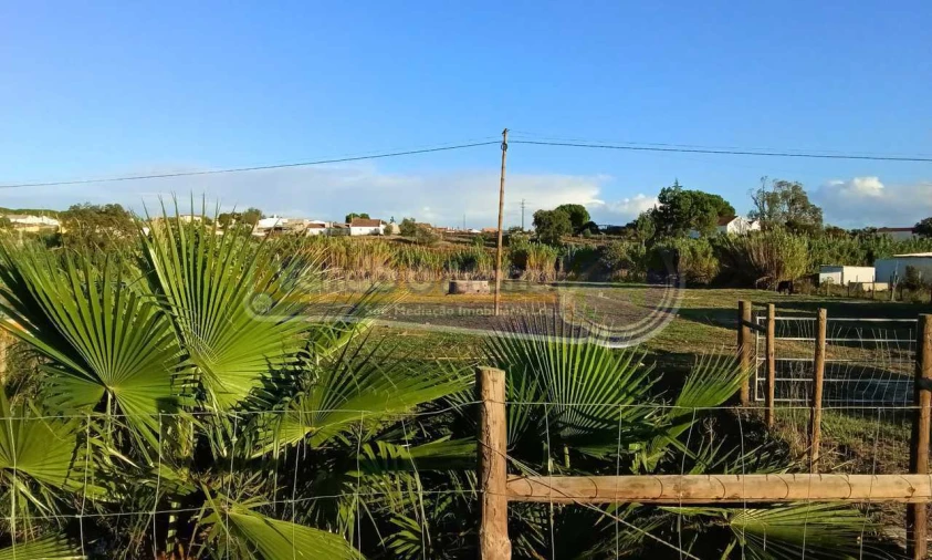 Terreno para Venda em Coruche, Fajarda e Erra Foto 3