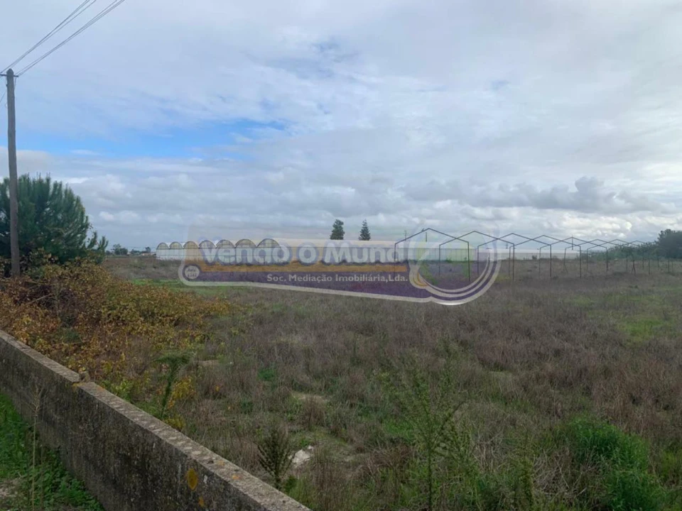 Terreno para Venda em Salvaterra de Magos e Foros de Salvaterra Foto 7