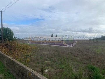 Terreno para Venda em Salvaterra de Magos e Foros de Salvaterra
