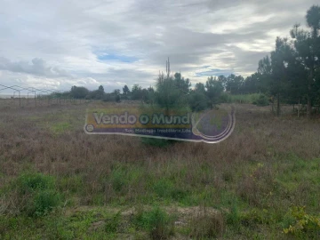 Terreno para Venda em Salvaterra de Magos e Foros de Salvaterra