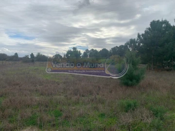 Terreno para Venda em Salvaterra de Magos e Foros de Salvaterra