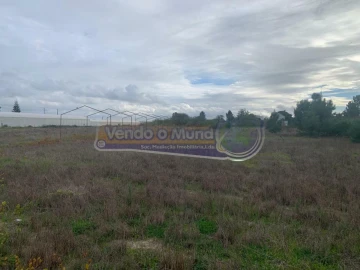 Terreno para Venda em Salvaterra de Magos e Foros de Salvaterra
