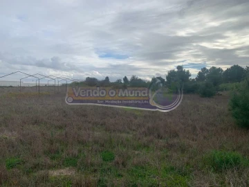 Terreno para Venda em Salvaterra de Magos e Foros de Salvaterra
