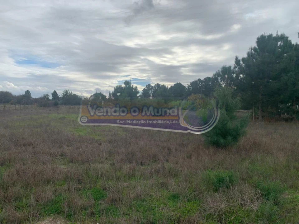 Terreno para Venda em Salvaterra de Magos e Foros de Salvaterra Foto 6