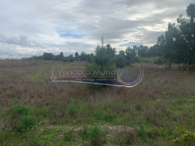 Terreno para Venda em Salvaterra de Magos e Foros de Salvaterra Foto 4
