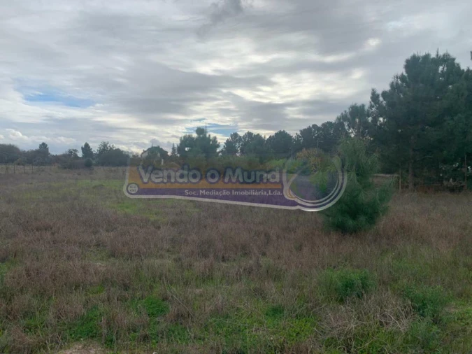 Terreno para Venda em Salvaterra de Magos e Foros de Salvaterra Foto 6