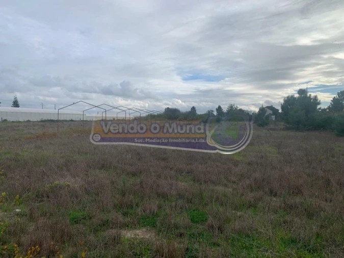 Terreno para Venda em Salvaterra de Magos e Foros de Salvaterra Foto 3