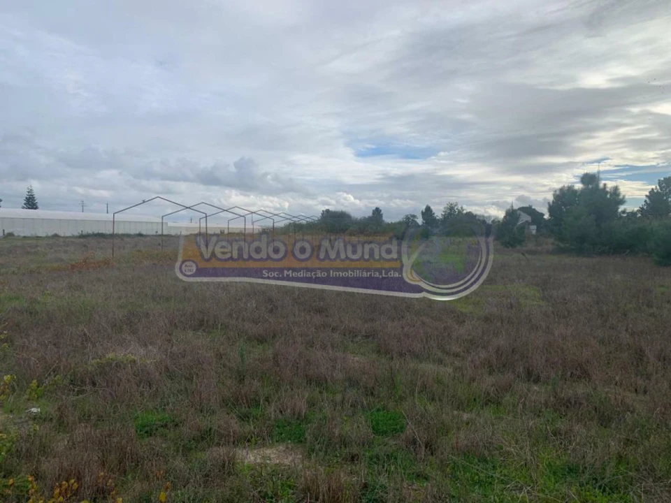 Terreno para Venda em Salvaterra de Magos e Foros de Salvaterra Foto 3