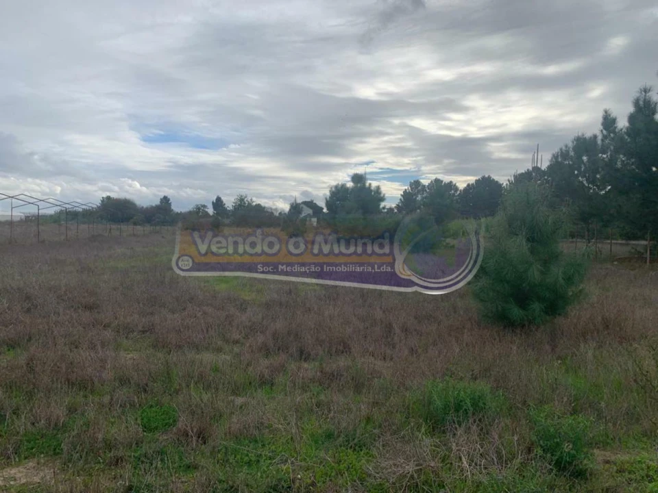 Terreno para Venda em Salvaterra de Magos e Foros de Salvaterra Foto 8