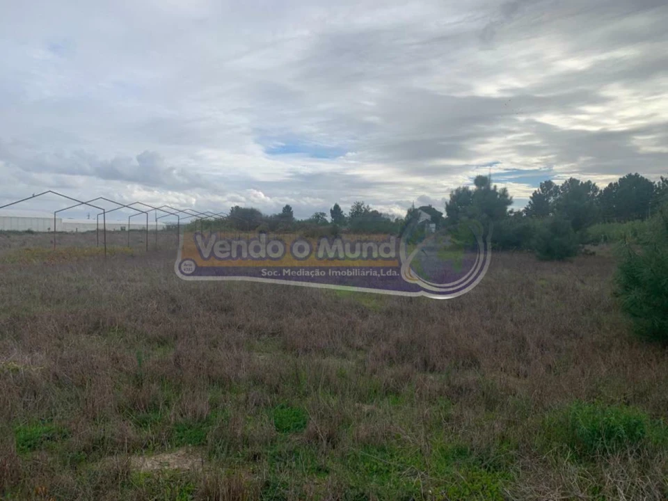 Terreno para Venda em Salvaterra de Magos e Foros de Salvaterra Foto 2