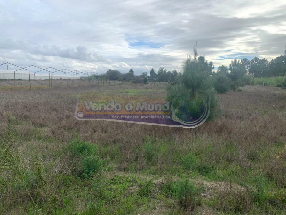 Terreno para Venda em Salvaterra de Magos e Foros de Salvaterra Foto 1