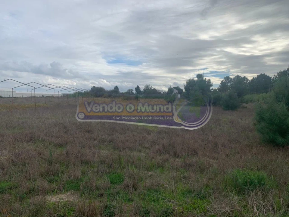 Terreno para Venda em Salvaterra de Magos e Foros de Salvaterra Foto 9