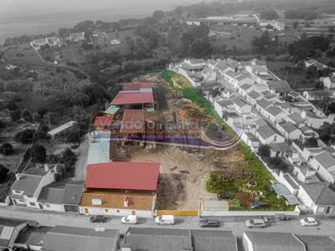 Terreno para Venda em Couço