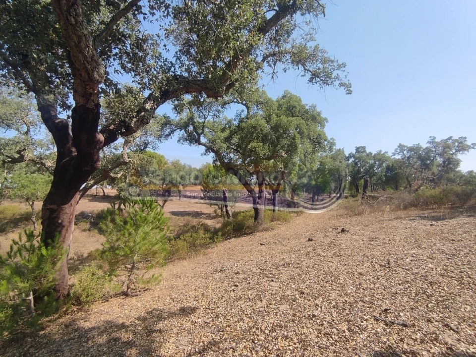 Quinta T2 para Venda em Mora Foto 17