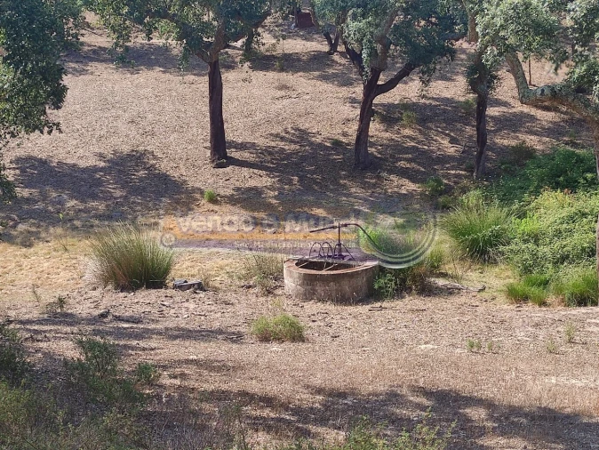 Quinta T2 para Venda em Mora Foto 16