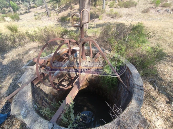 Quinta T2 para Venda em Mora Foto 11