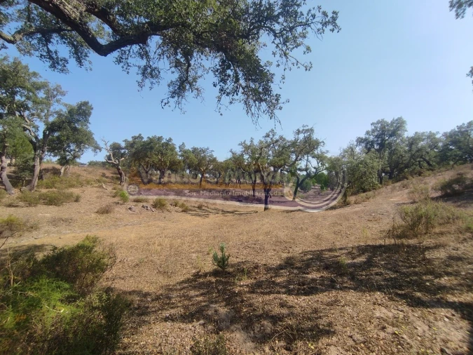 Quinta T2 para Venda em Mora Foto 10