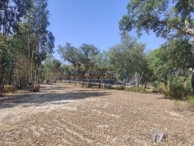 Quinta T2 para Venda em Mora Foto 4