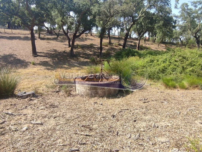 Quinta T2 para Venda em Mora Foto 15