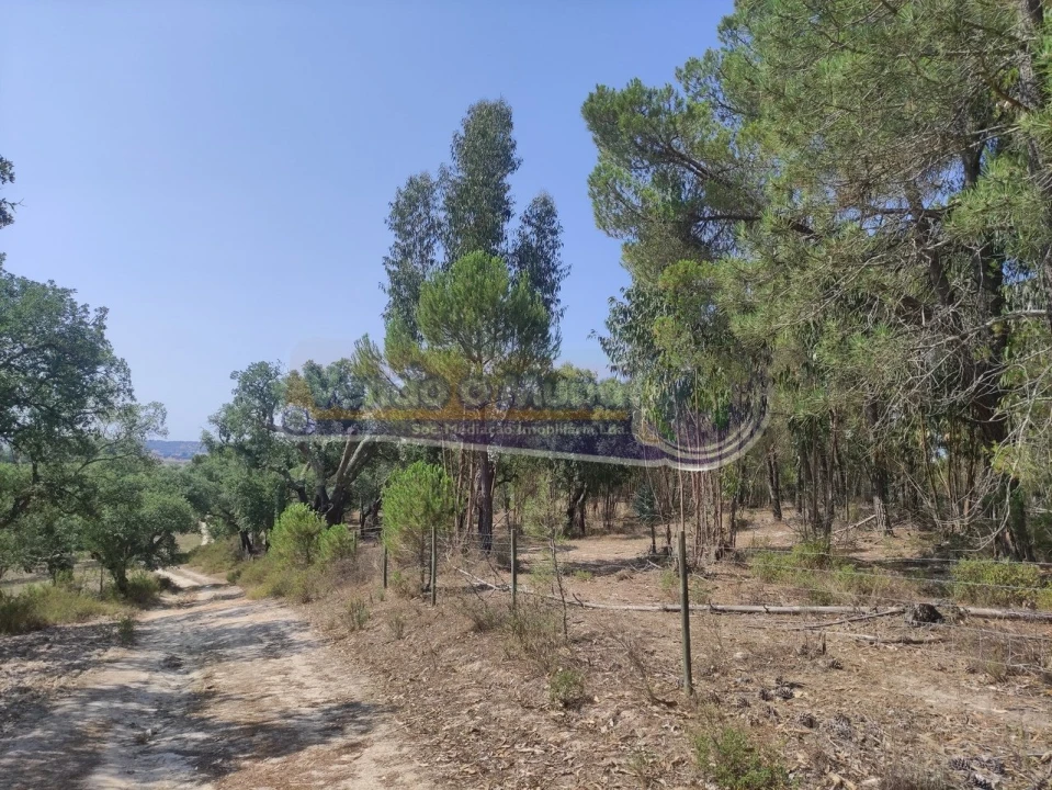 Quinta T2 para Venda em Mora Foto 1