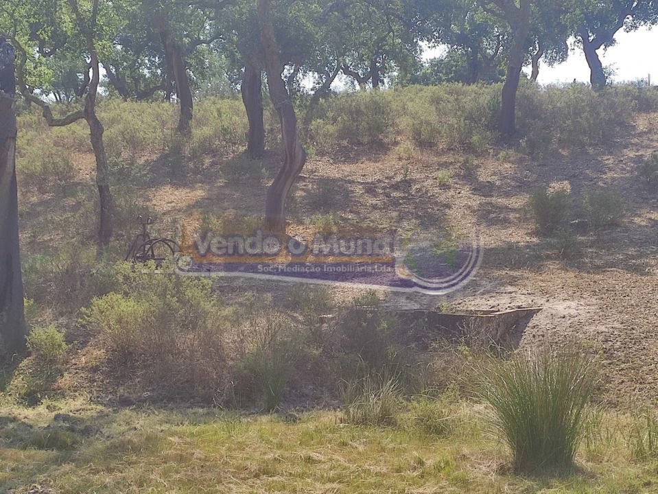 Quinta T2 para Venda em Mora Foto 14