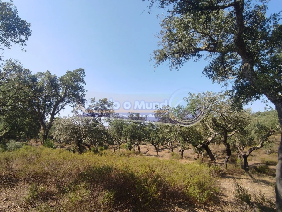 Quinta T2 para Venda em Mora Foto 19