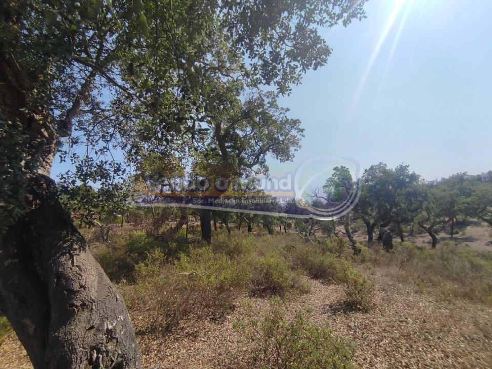 Quinta T2 para Venda em Mora Foto 6