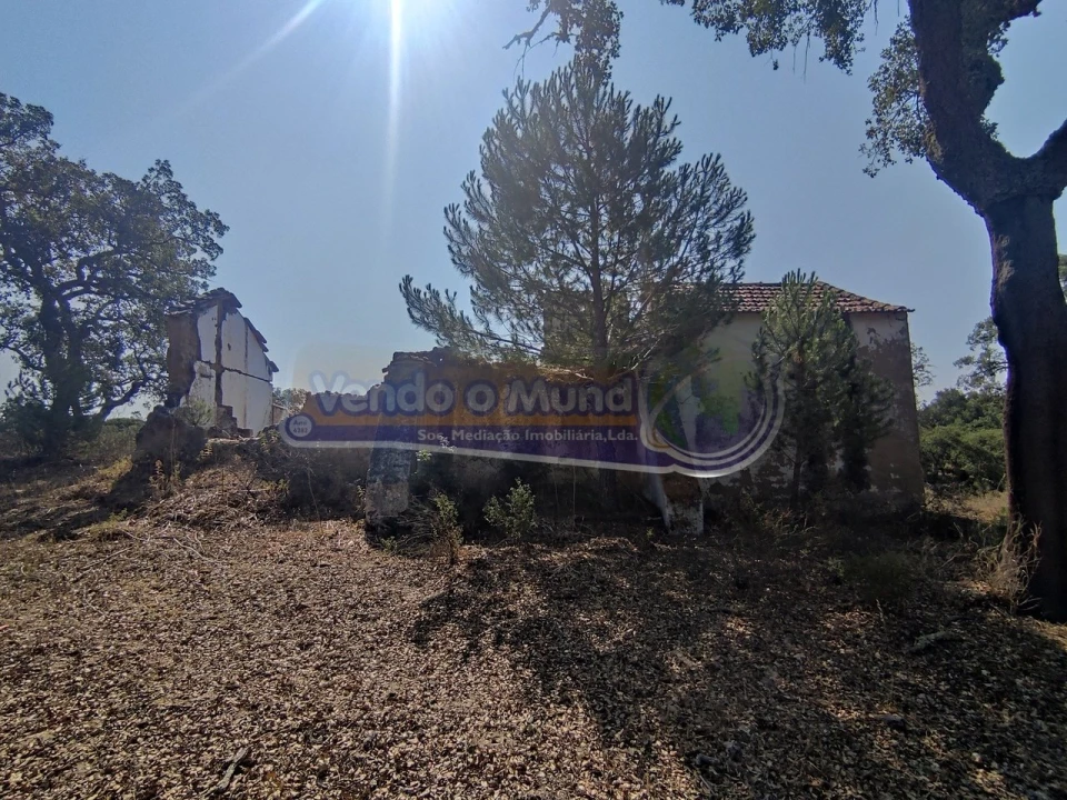 Quinta T2 para Venda em Mora Foto 20