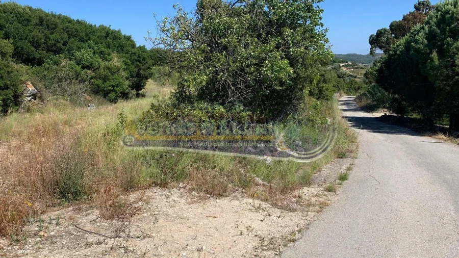 Terreno para Venda em Alhandra, São João dos Montes e Calhandriz Foto 3