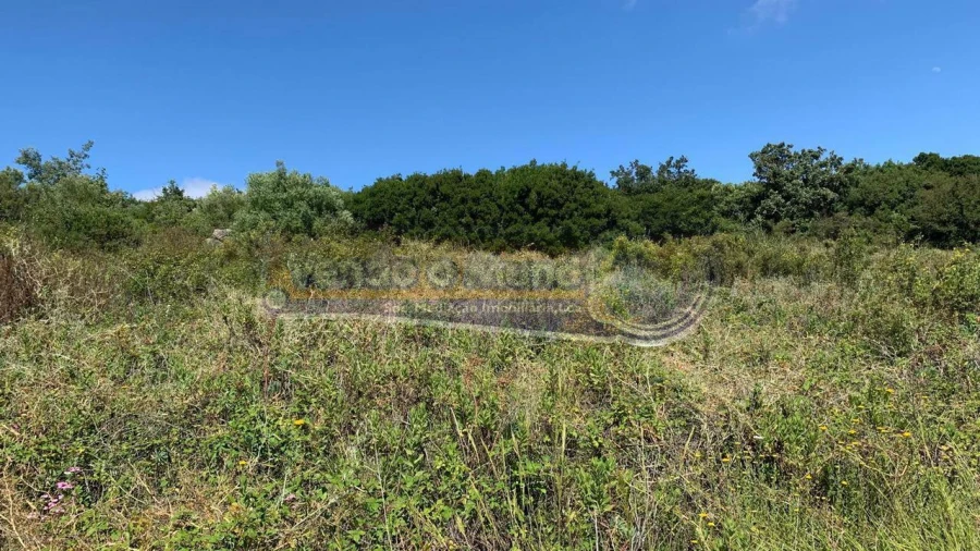 Terreno para Venda em Alhandra, São João dos Montes e Calhandriz Foto 5