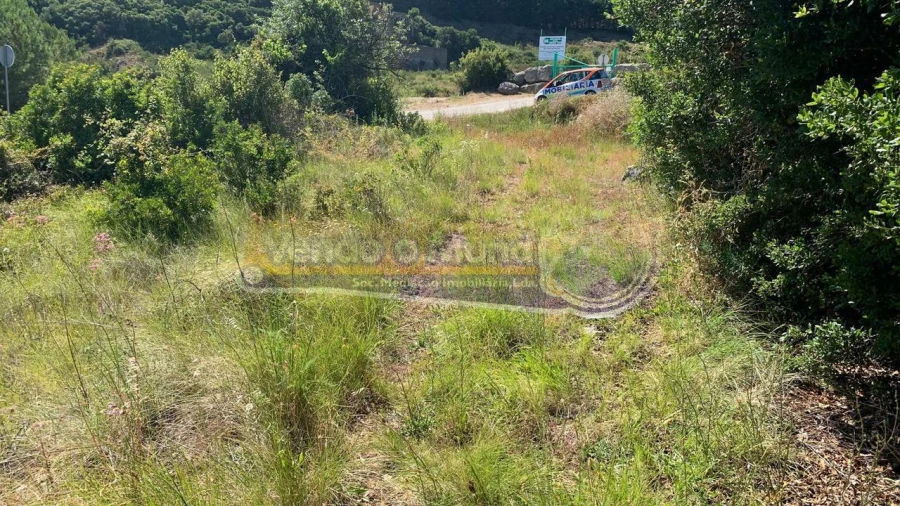 Terreno para Venda em Alhandra, São João dos Montes e Calhandriz Foto 6