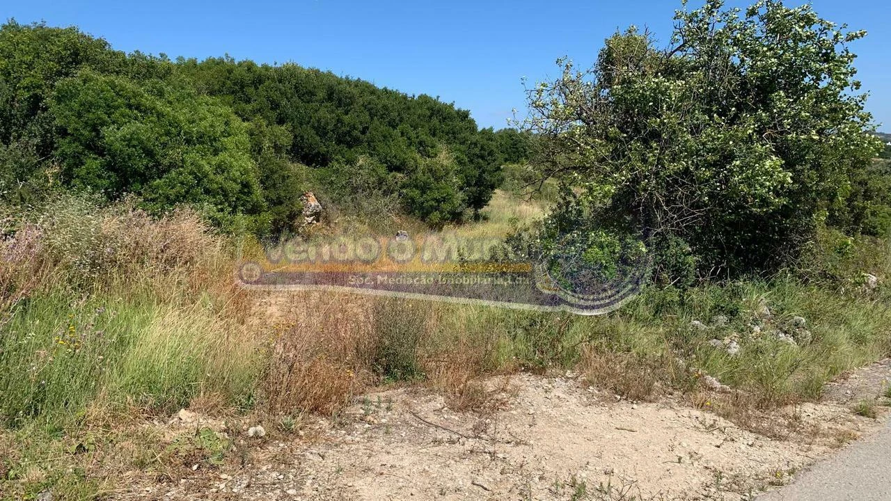 Terreno para Venda em Alhandra, São João dos Montes e Calhandriz Foto 2