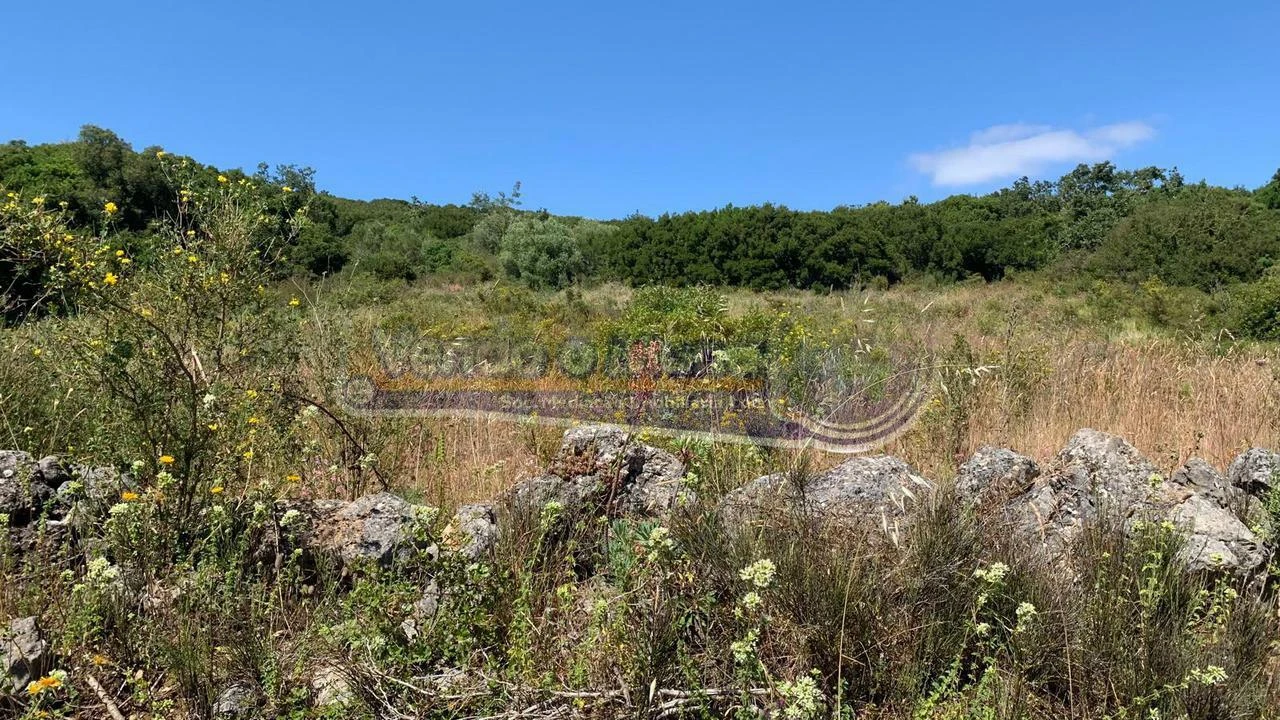 Terreno para Venda em Alhandra, São João dos Montes e Calhandriz Foto 4