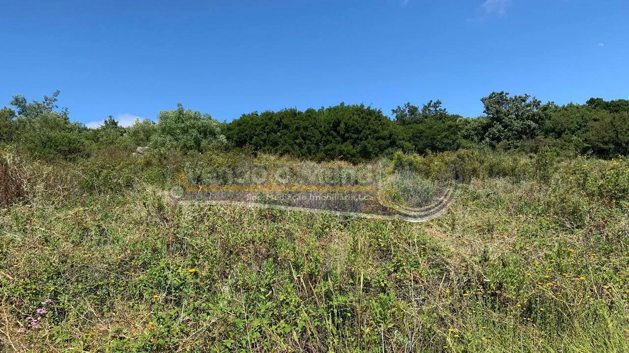 Terreno para Venda em Alhandra, São João dos Montes e Calhandriz Foto 5