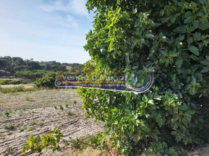 Moradia T3 para Venda em Biscainho Foto 17