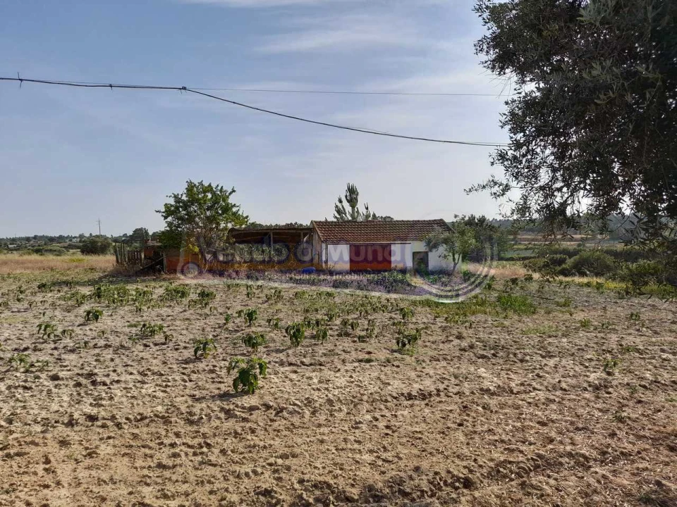 Moradia T3 para Venda em Biscainho Foto 20