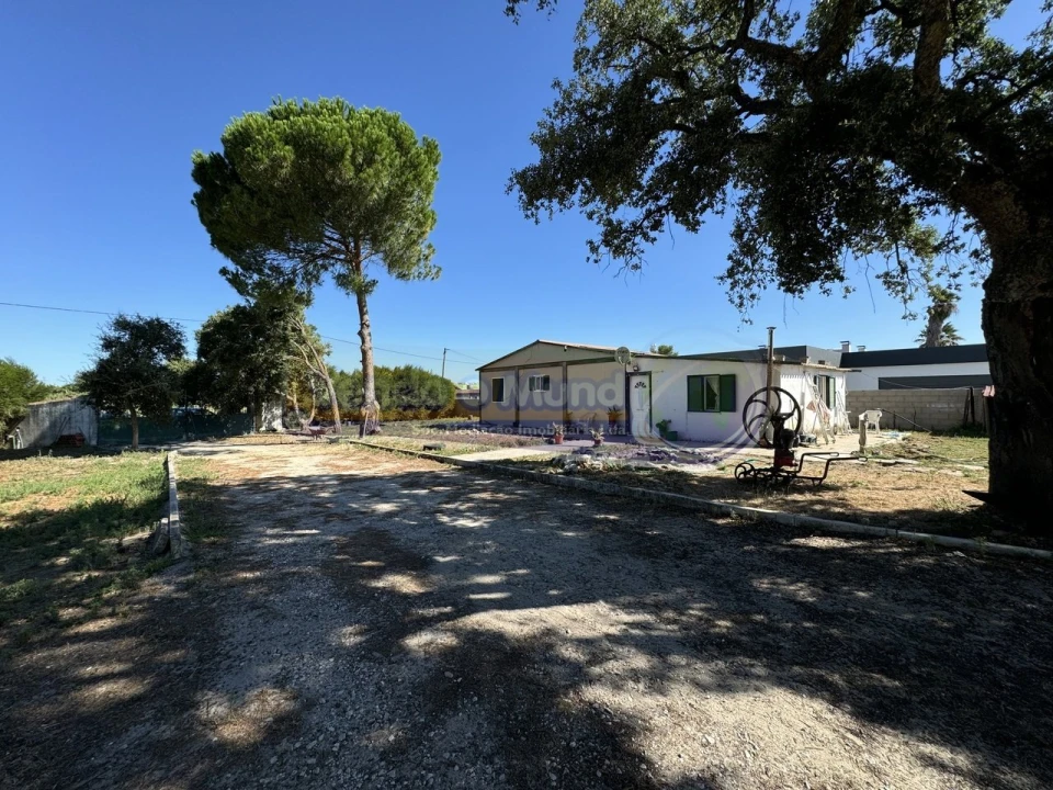 Terreno para Venda em Samora Correia Foto 3