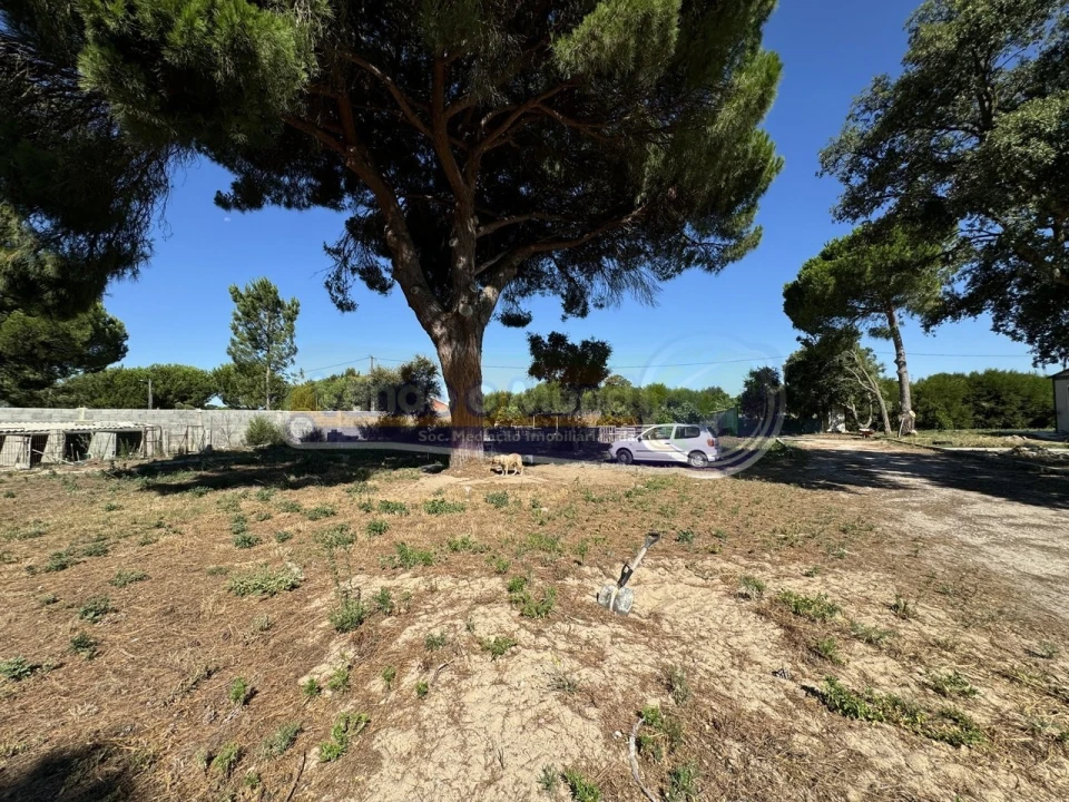 Terreno para Venda em Samora Correia Foto 10