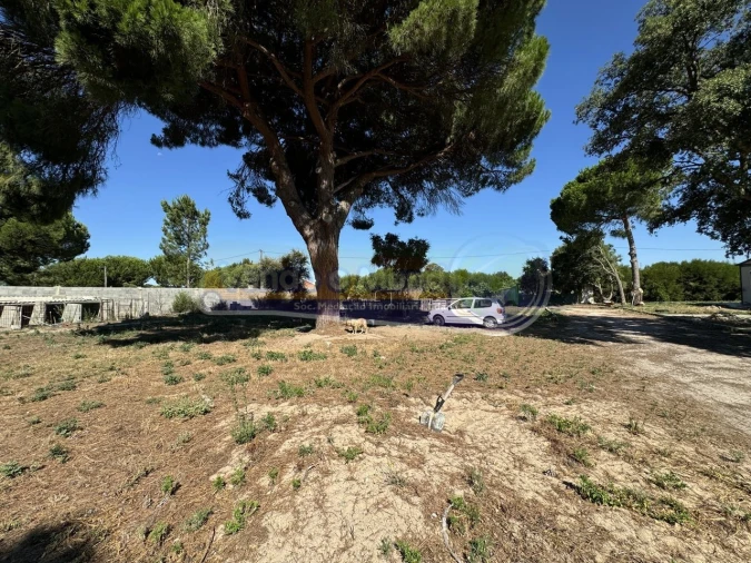 Terreno para Venda em Samora Correia Foto 10