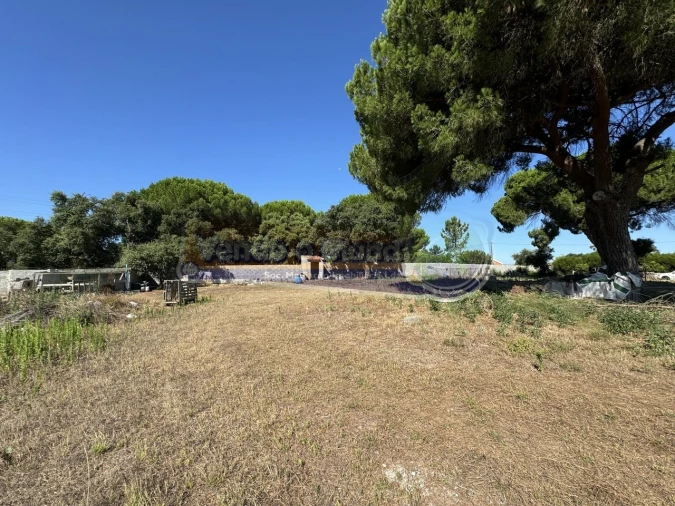 Terreno para Venda em Samora Correia Foto 13