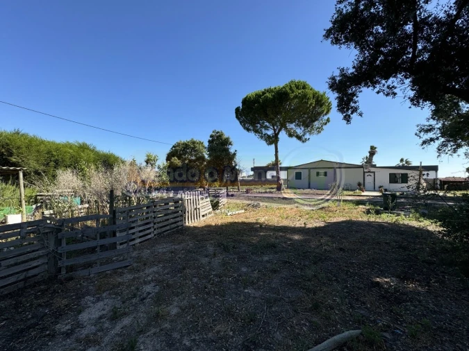 Terreno para Venda em Samora Correia Foto 4